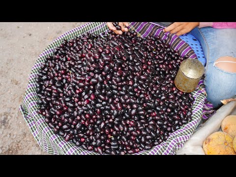 Cambodian Food Market Scenes In Evening, Ta Khmao Street Food Market Walkaround