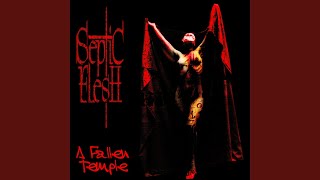 The Eldest Cosmonaut