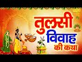 तुलसी विवाह की कथा तुलसी माता कथा Ds Pal Tulsi