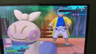 ポケモンサン10メレメレの大試練！前編