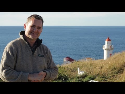 #RoyalCam 2016 highlights: Behind the scenes at Taiaroa Head