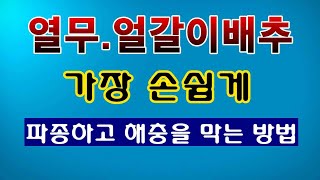 [텃밭농부 1,408]  열무, 얼갈이배추 파종하고 벌레의 공격을 막는 방법. #열무재배 #얼갈이배추재배