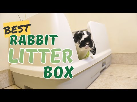 Our Favourite Litter Box | Rabbit Litter Box Review