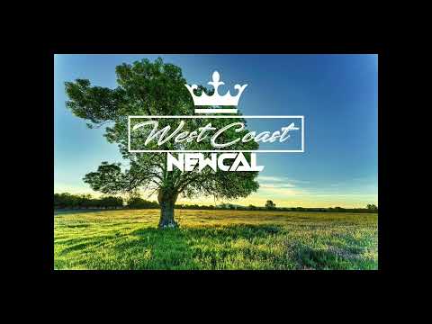 Dj Blackflays - Laisse Parler Les Gens (Remix) 2k22