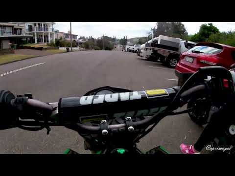 Kermit & Navina's Forresters Beach Adventure