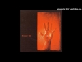 Porcupine Tree Tinto Brass From XM