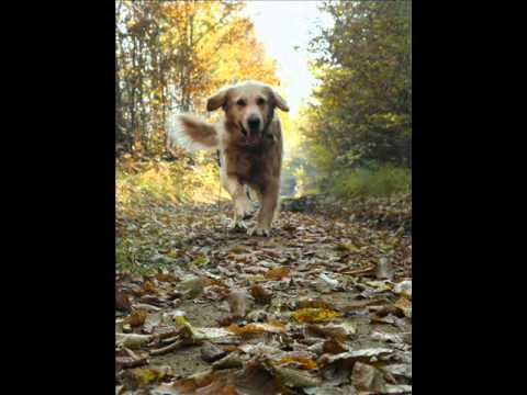 Repište - najkrajšie miesto na Zemi