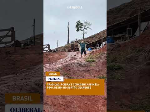 Em Mantena, até ir pro curral vira comédia de família