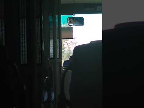 Mobilozó buszsofőr