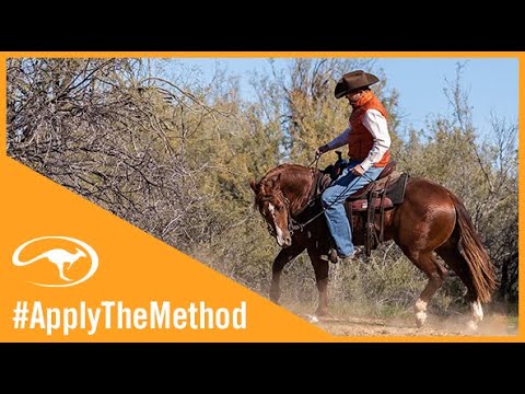 Clinton Anderson: Turn a Spook Into a Training Opportunity - Downunder Horsemanship