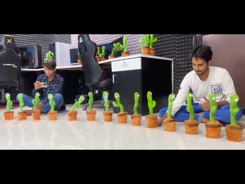 Talking with 100 talking cactus