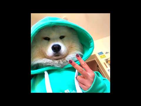 [FREE FOR PROFIT] Glaive x Ericdoa Hyperpop Type Beat - "villain"