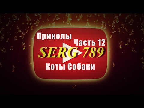 🔴Приколы Коты Собаки (Часть 12)✅ 🙂 👍 🐱 🐶