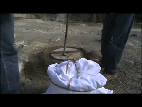 Zu Tisch auf den Azoren - Teil 2/2