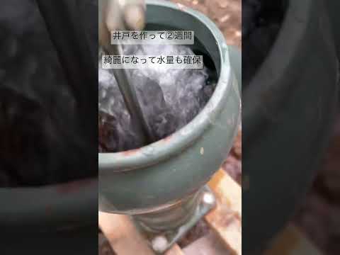 家や庭の水質を確保するために、掘り抜き井戸、古い井戸、または地上井戸を掃除するにはどうすればよいですか?  庭園
