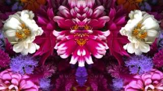 If I Don&#39;t Be There By Morning (by Eric Clapton live in Cleveland in 1979)