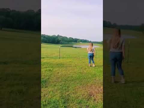 Gluteus Maximus Lurch Gait