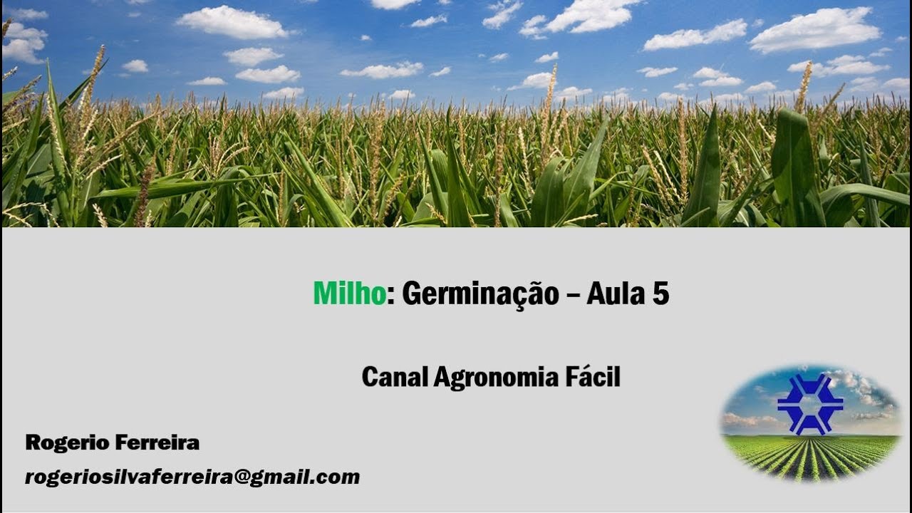 Aula 5 - Germinação do Milho
