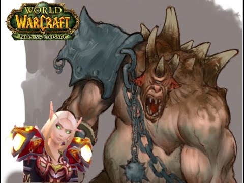 WoW//Gruul´s lair: High King Maulgar - Mage Tank