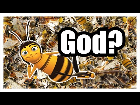 Mayan Stingerless Bee and Ah Muzen Cab