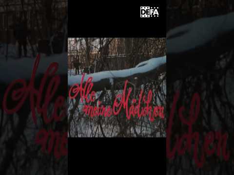 あなたは Wa(h)l – わずかに異なる Wahl-O-Mat を持っています