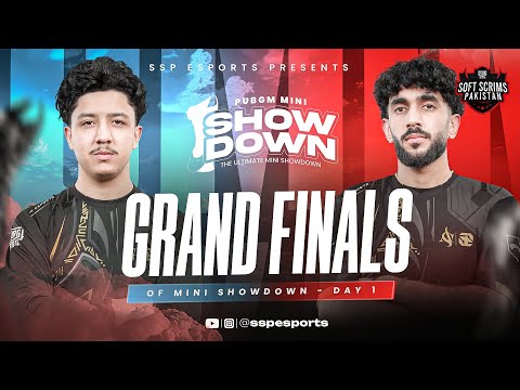 SSP PUBG MOBILE MINI SHOWDOWN | GRAND FINALS | DECIDED DAY | ft #i8esports #141 #star #r3g #7e