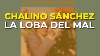 Chalino Sánchez - La Loba del Mal (Audio Oficial)