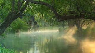 Download lagu Musik Relaksasi 24/7 : Terapi Otak Suara Alam Full, Relaksasi Tidur, Insomnia, Spa, Meditasi,Healing mp3