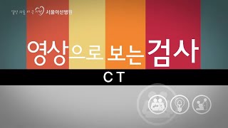 CT 미리보기