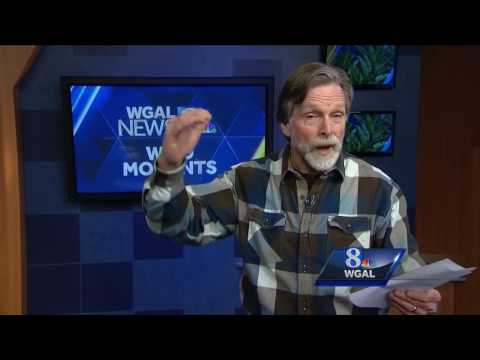 Wild Moments: Turkey vultures vs. black vultures