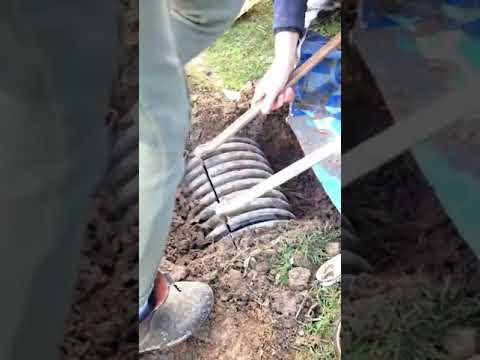Save a sheep stuck in a water pipe## Humanity