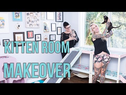 My Kitten Room Gets a MAKEOVER!