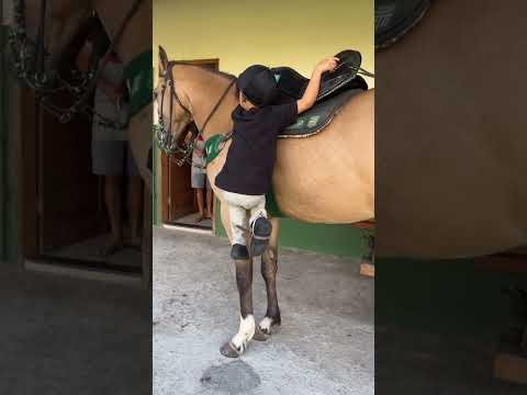 O vaqueiro é diferente mesmo 👏🏻👏🏻 #cavalo #vaquejada #vaquejadaboa #cavalos #rodeio