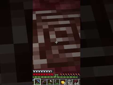 KENDAL PREVEDE IL FUTURO IN LIVE - MINECRAFT