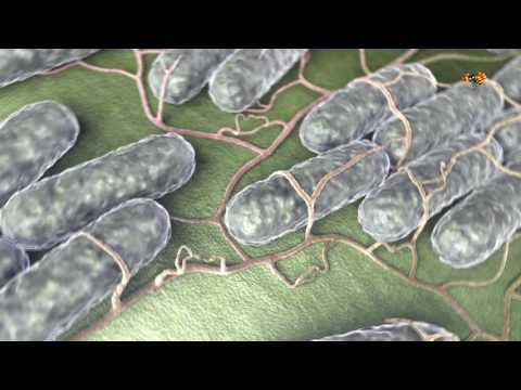 11 regler du bör följa när du besöker en nybliven mamma