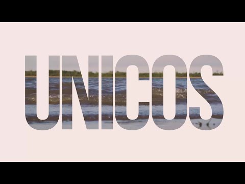 LAS SANDALIAS - UNICOS - video clip oficial HD