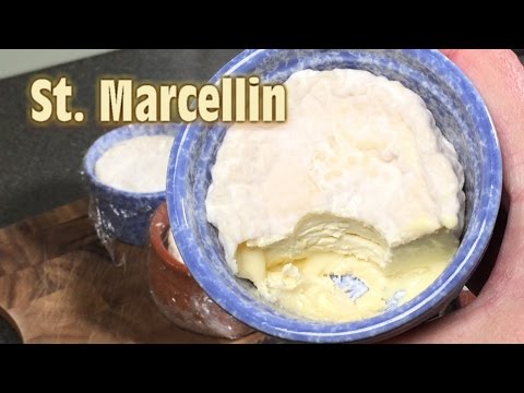 How to make Saint-Marcellin style cheese at Home