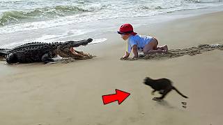 Animals That Saved People at the Last Moment _ Best of 2025!