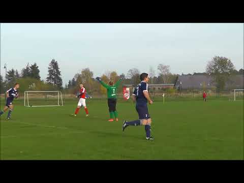 Tore Hinrunde 17/18 Teil II