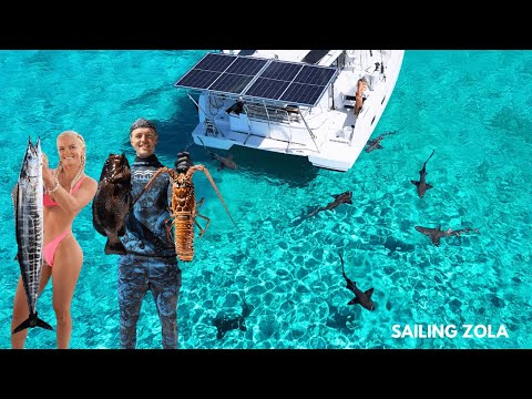 She turns my catch GOURMET (Wahoo,Grouper, Lobster) Ep. 22