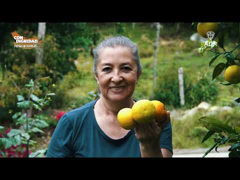 Así avanza la modernización del Distrito de Riego en Pasca para fortalecer al campo colombiano