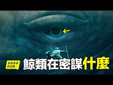 隱瞞了60年的錄音&mdash;&mdash;AI破解鯨類語言，發現它們並不友好？|自說自話的總裁