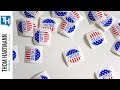 GOP White Washes Electoral Process Greg Palast Demands Every Vote Be Counted