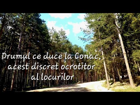 Drumul ce duce la Conac, acest ocrotitor discret al locului!