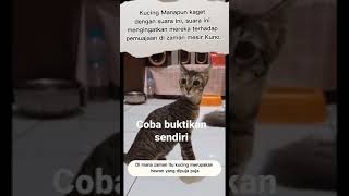 Download lagu Auto merinding. sound pemujaan kucing di zaman mesir kuno. mp3