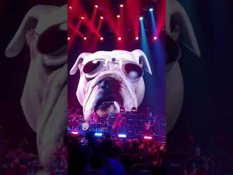 KROKUS DIRTY DYNAMITE (LIVE)