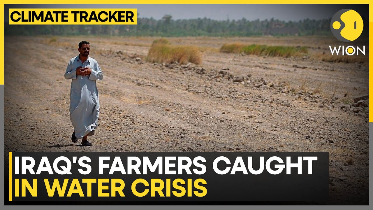 Iraq Water Crisis: Iraq's Lifeline River Shrinks Under Drought | WION Climate Tracker
