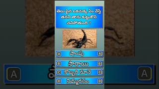 Gk Questions And Answers Telugu | Interesting Facts | Gk Quiz Telugu | Riddles Telugu | Life Hacks