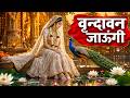 Vrindavan Jaungi वृन्दावन जाउंगी मेरे उठे विरह म