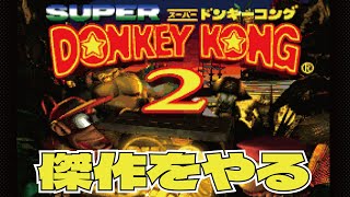【スーパードンキーコング2】深夜に神BGMをみんなで聴こうよ【雑談】